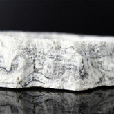 NOMOYPET Reptile Food Dish NS-61